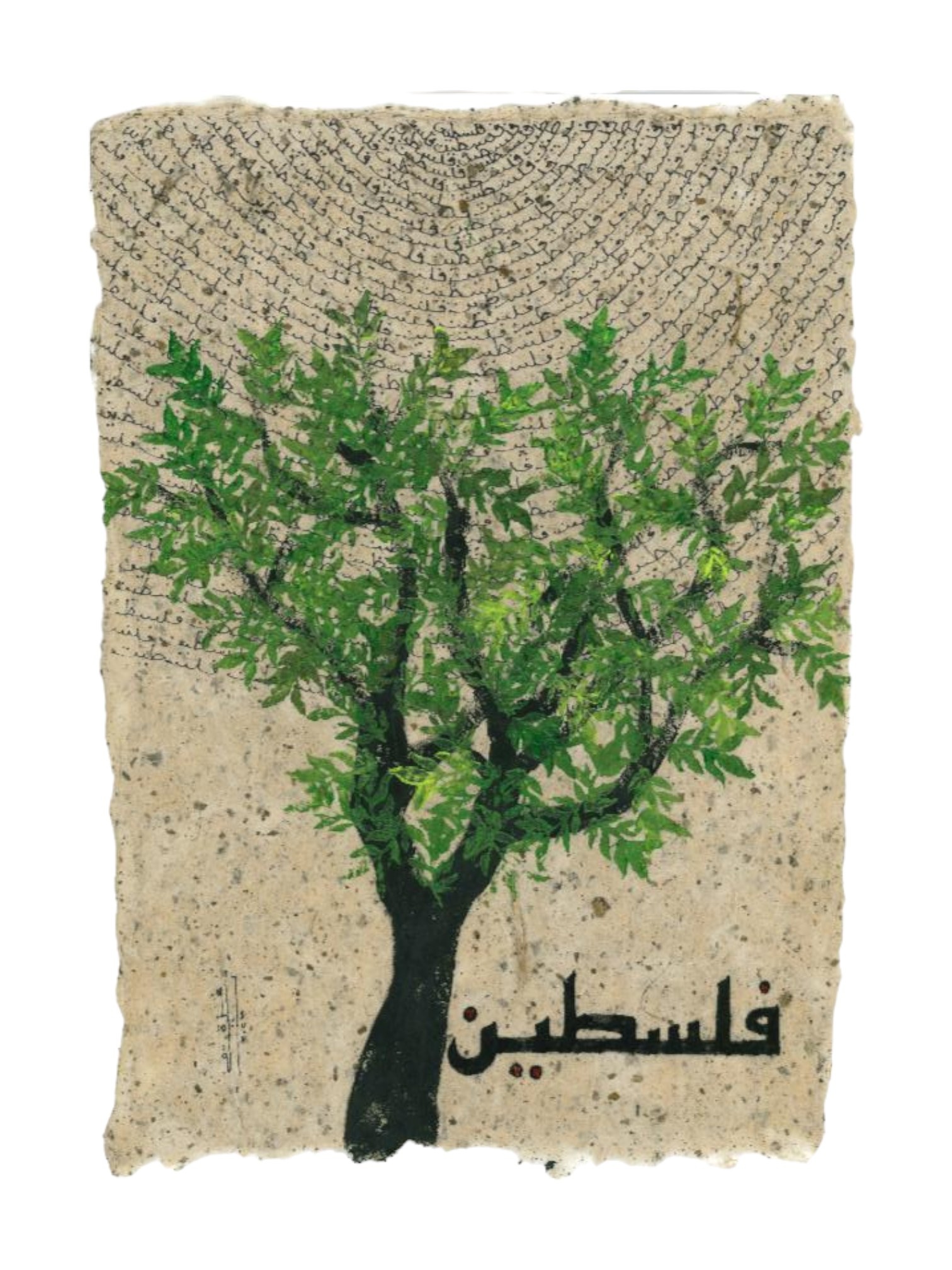 KITABA BY TALA ABUNUWAR "Olive Tree" "لو علم شجر الزيتون" Large Framed Artwork - (54*44cm)