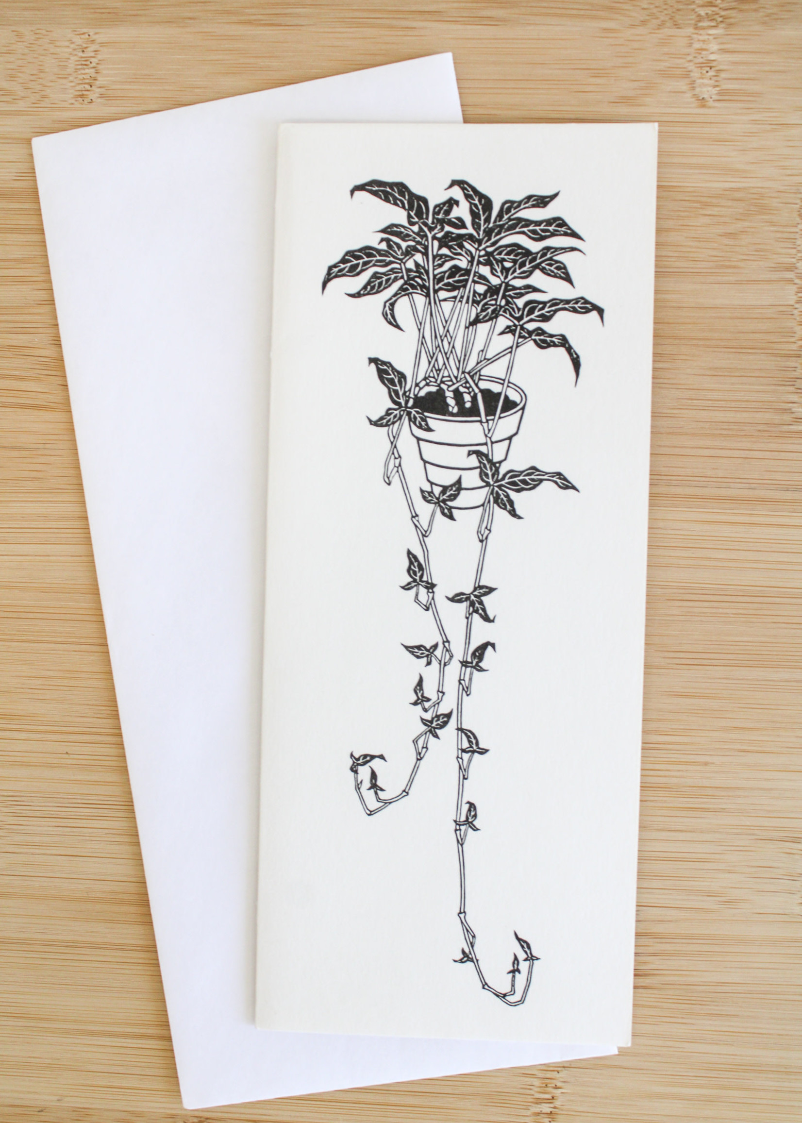 None CARD - J. Hnizdovsky,  Syngonium Lingcut, 1973 (Hanging Plant)