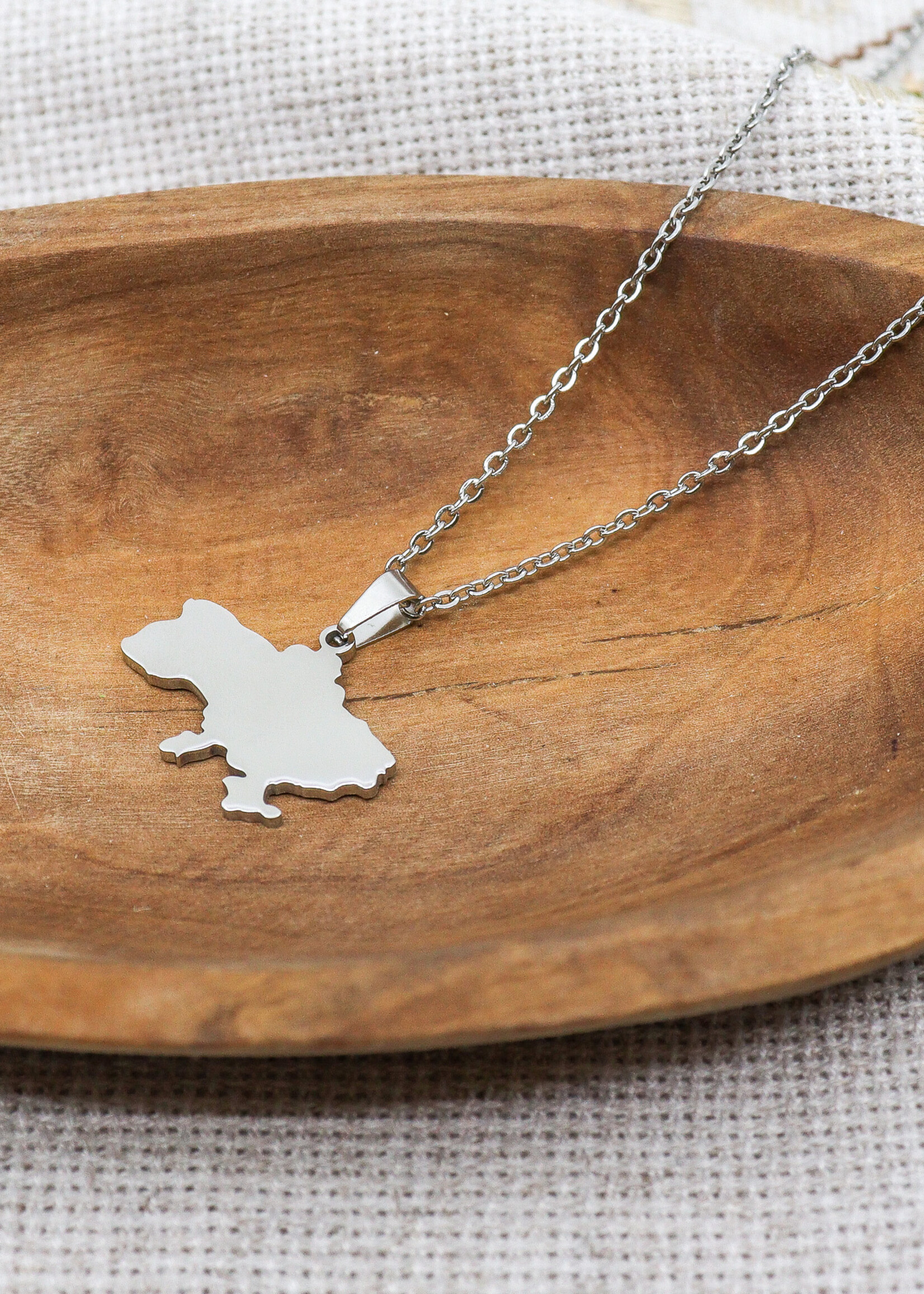 ACCESSORIES - Necklace Map of Ukraine Silver