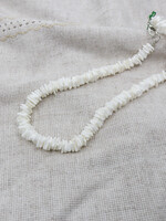 ACCESSORIES - Necklace, White Puka Shell