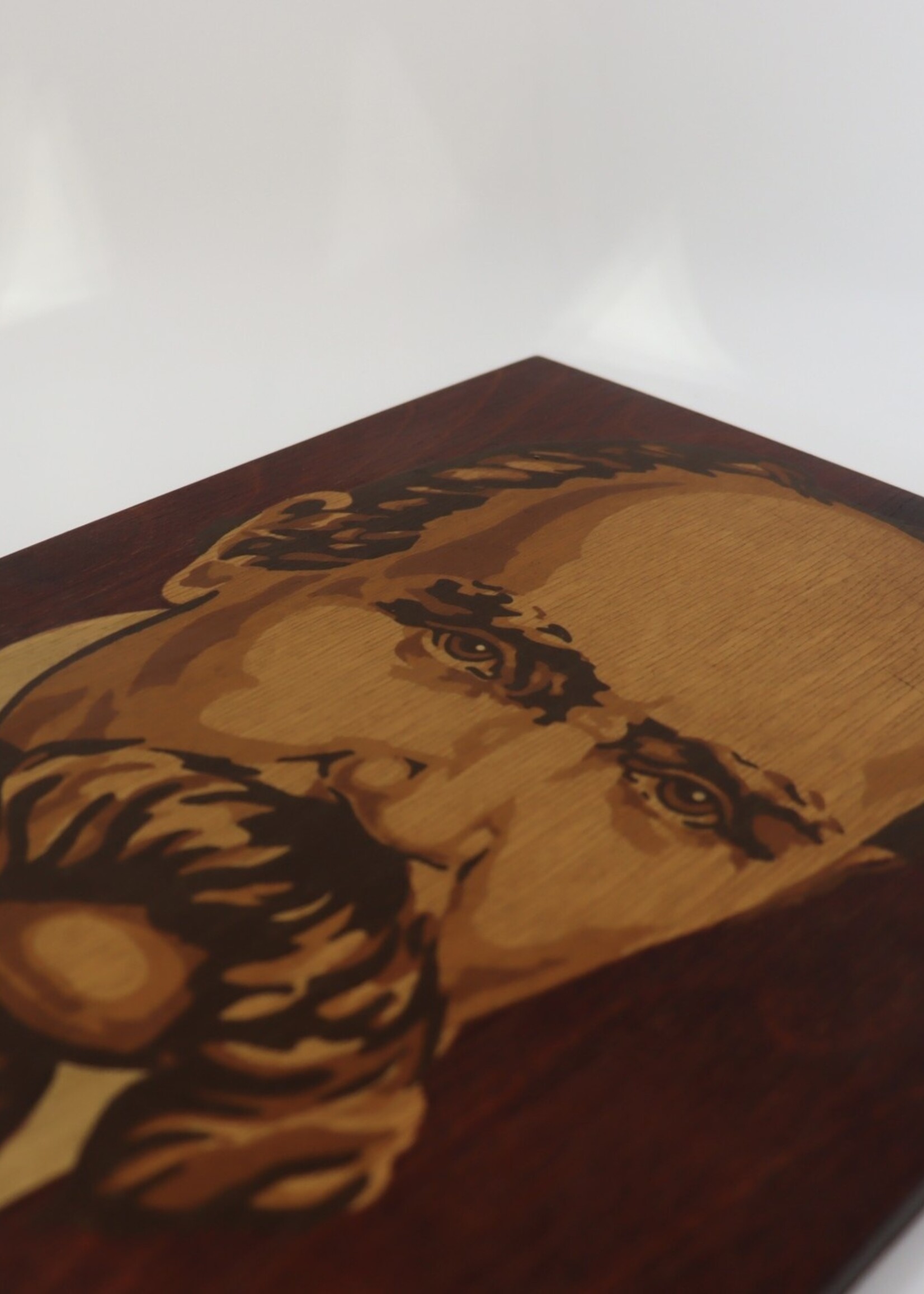 ART - Taras Shevchenko, Wooden  Portrait of  Ukraininan Poet and Artist, Hand Painting on  Plywood, Vintage