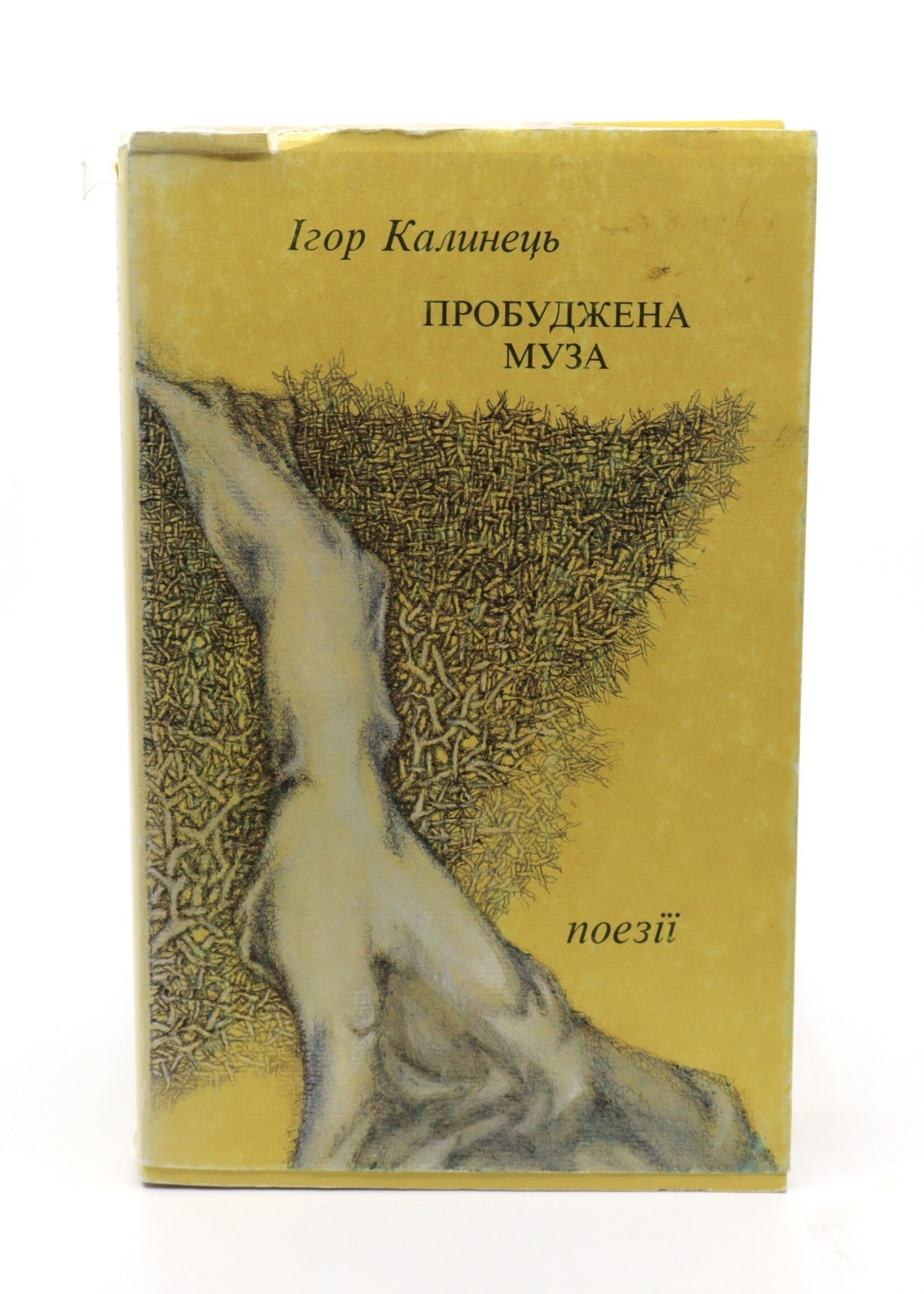 BOOK - Poetry - An Awakening by I. Kalinetz