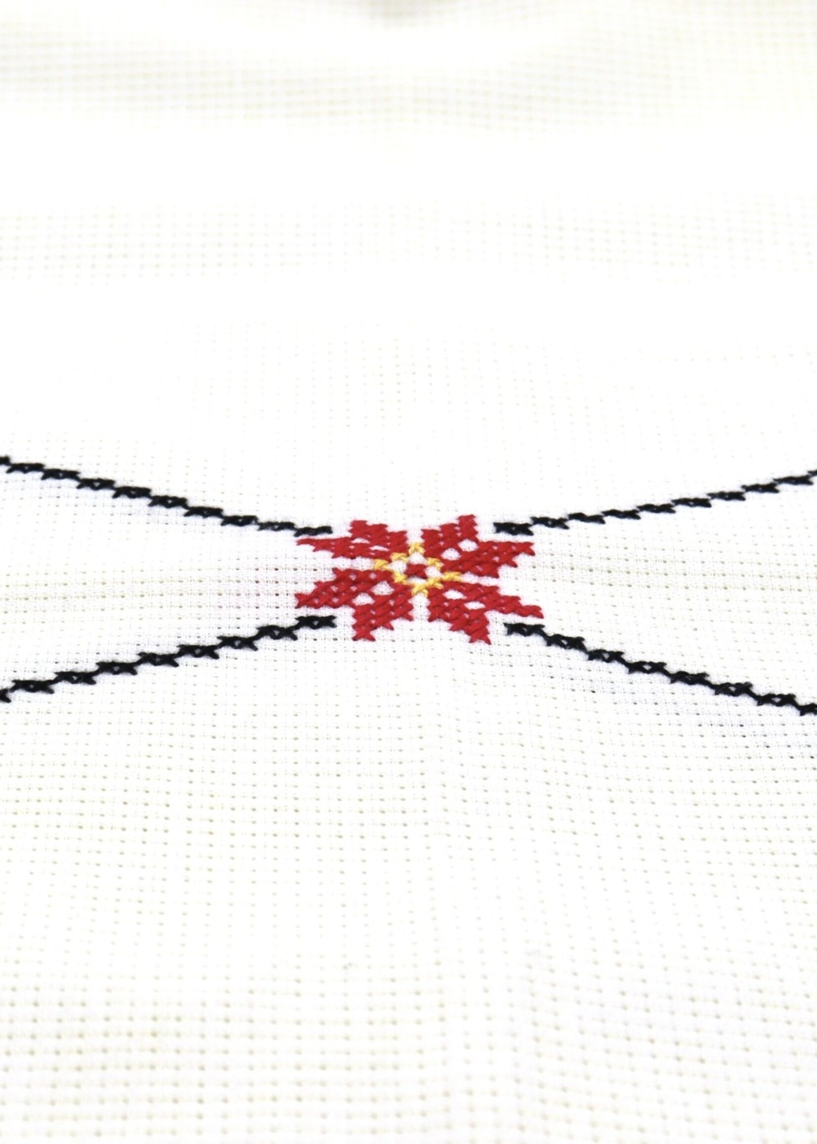 HOME - Decor Set of 4 Embroidered Placemats