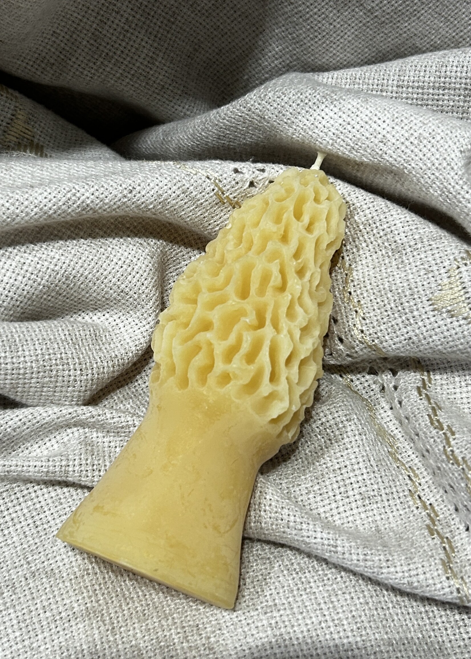 HOME - Morel beeswax candle