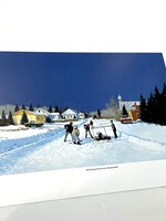 ART-   print   by Peter Shostak,  10 x13"