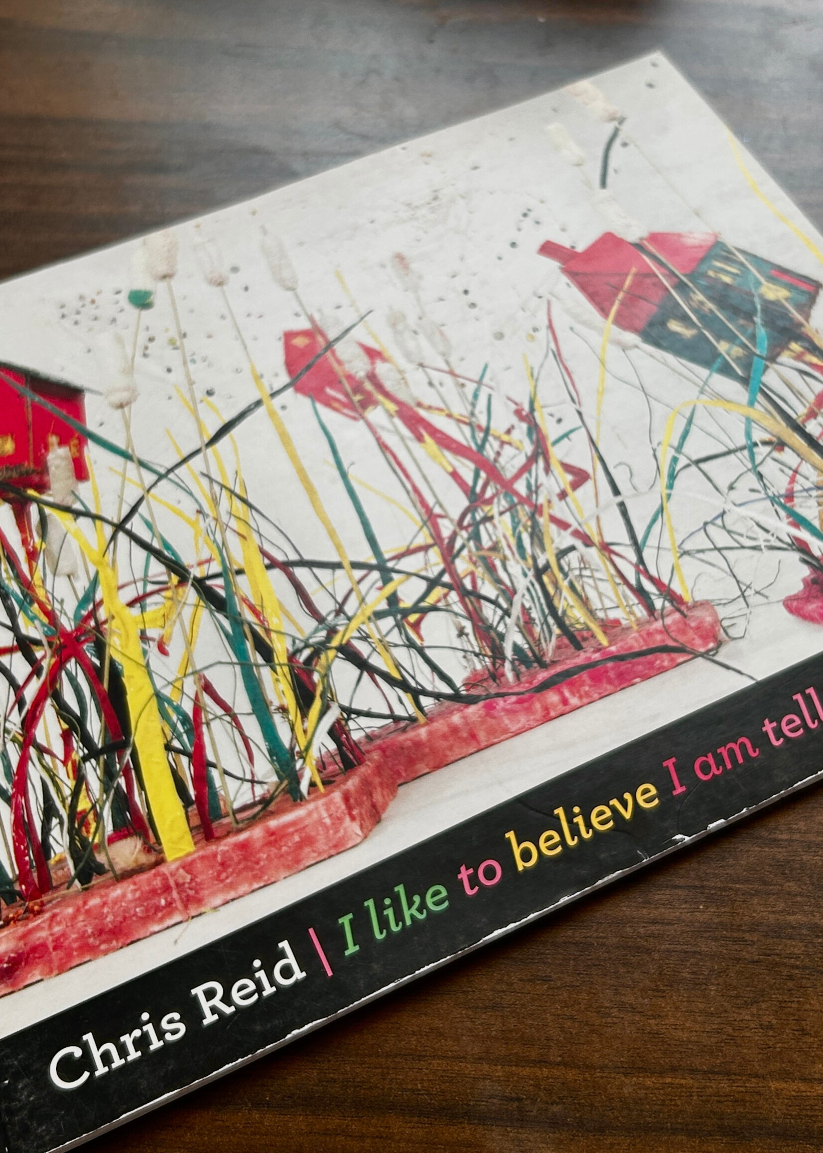 None BOOK - I Like  To Believe I am Telling The Truth