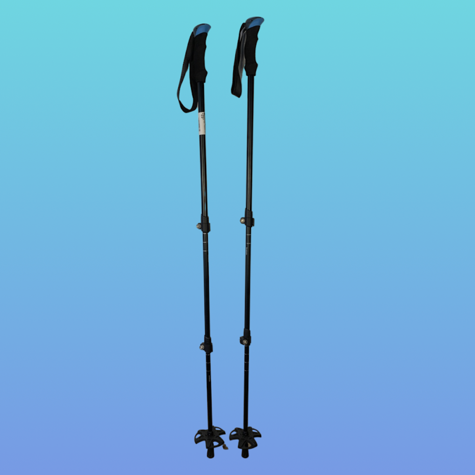 NEW 4-Season Adjustable Ski Poles