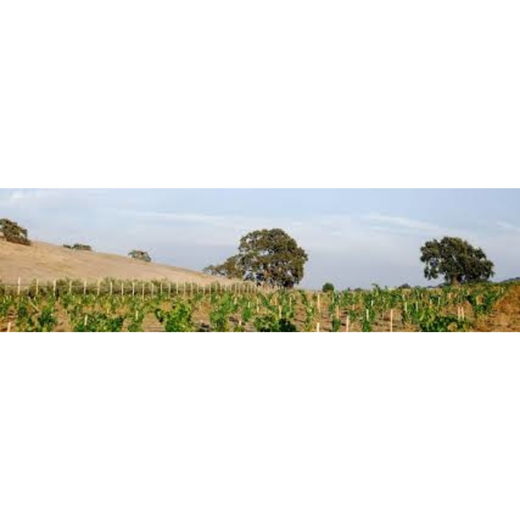 Bonny Doon Vineyard Bonny Doon Vineyard, Le Cigare Blanc  2017, Beeswax Vineyard, Arroyo Seco, Montery, Central Coast, CA, USA