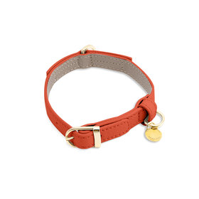 PET COLLAR SMALL