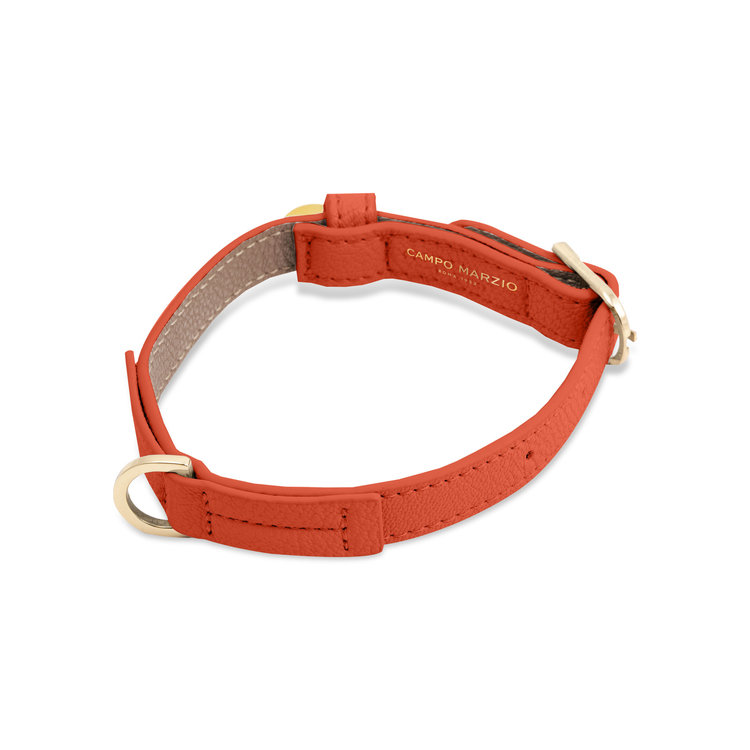 PET COLLAR SMALL