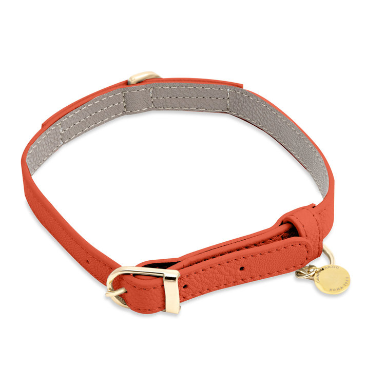 PET COLLAR MEDIUM