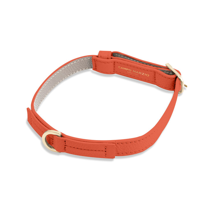 PET COLLAR MEDIUM