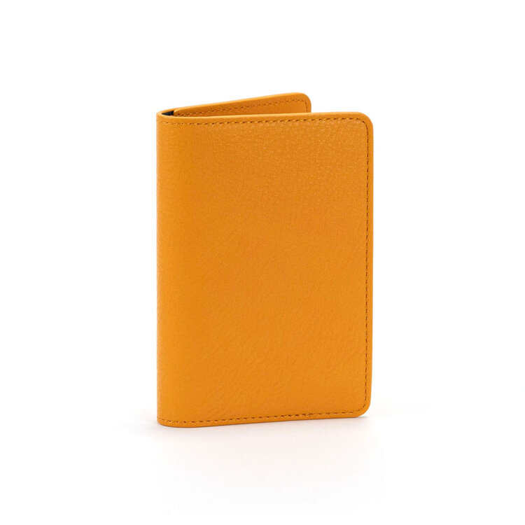 PASSPORT HOLDER DOUBLE COLOR ATLANTA