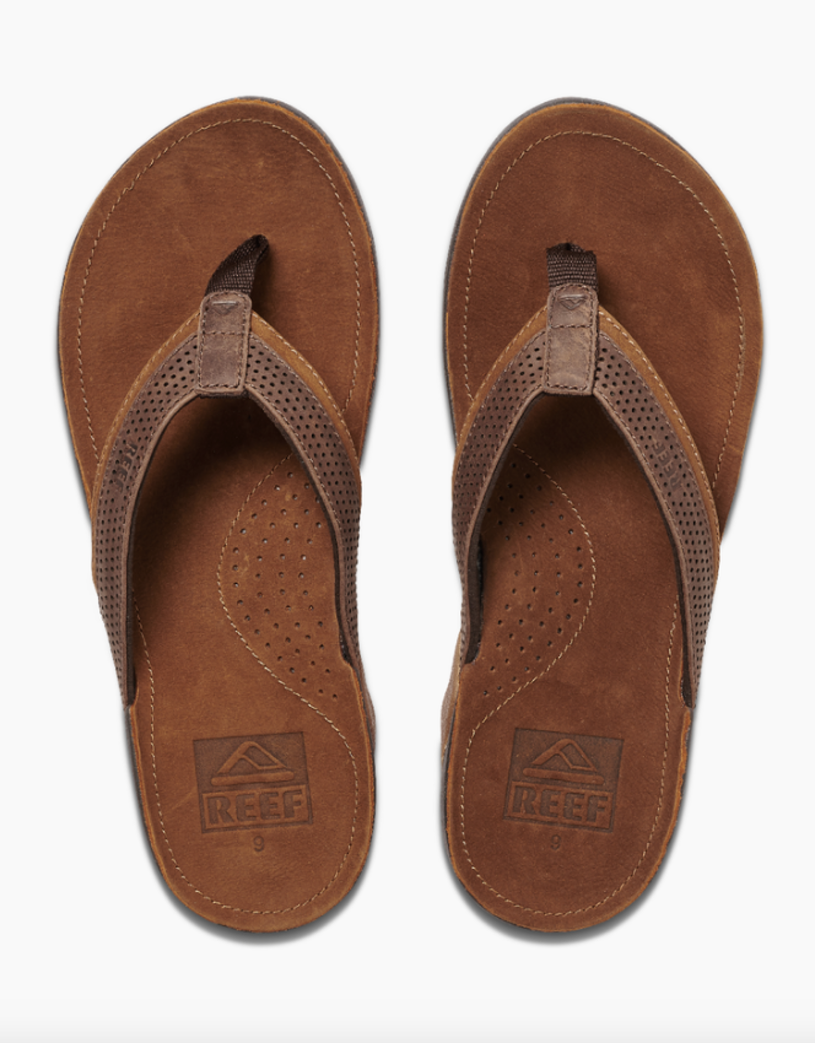 REEF REEF J-BAY PERF - Salty's Board Shop