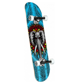 POWELL Powell Peralta Vallely Elephant Blue Birch Complete Skateboard - 8 x 31.45