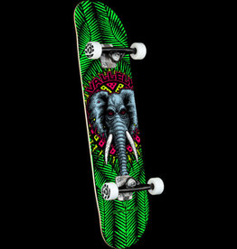 POWELL PERALTA Powell Peralta Vallely Elephant One Off Green Birch Complete Skateboard - 8 x 31.45