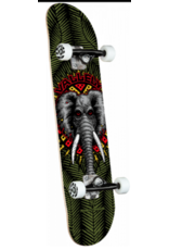POWELL PERALTA Powell Peralta Vallely Elephant Olive Birch Complete Skateboard - 243 K20 - 8.25 x 31.95