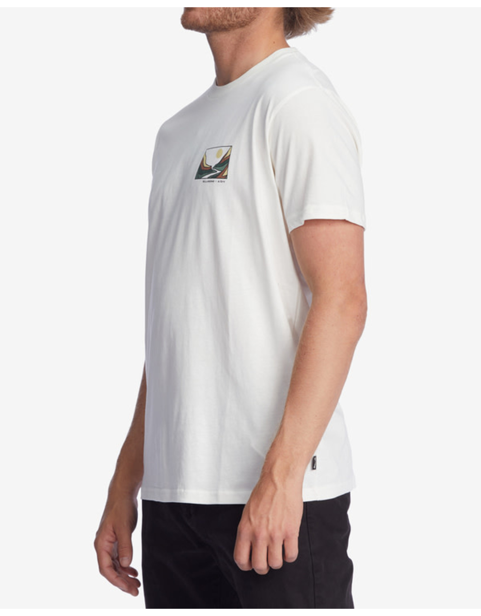 BILLABONG BILLABONG Gateway Organic Short Sleeve T-Shirt