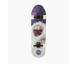 pug landyachtz-atv-perfecto-pug.jpg