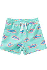 Chubbies Chubbies Swim Short - Toddlers' The Apex Swimmers