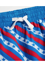 Chubbies Chubbies Kids Swim Trunks The Statesides