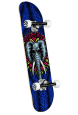 POWELL PERALTA Powell Peralta Vallely Elephant Birch Complete Skateboard - Royal Blue - 8.25 x 31.95