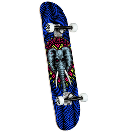 POWELL PERALTA Powell Peralta Vallely Elephant Birch Complete Skateboard - Royal Blue - 8.25 x 31.95