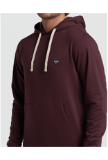 BILLABONG BILLABONG ALL DAY PULLOVER HOODIE