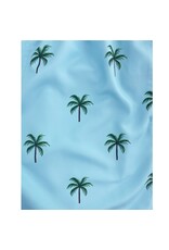 ISLAND HAZE ISLANDHAZE MARINO SWIM SHORTS