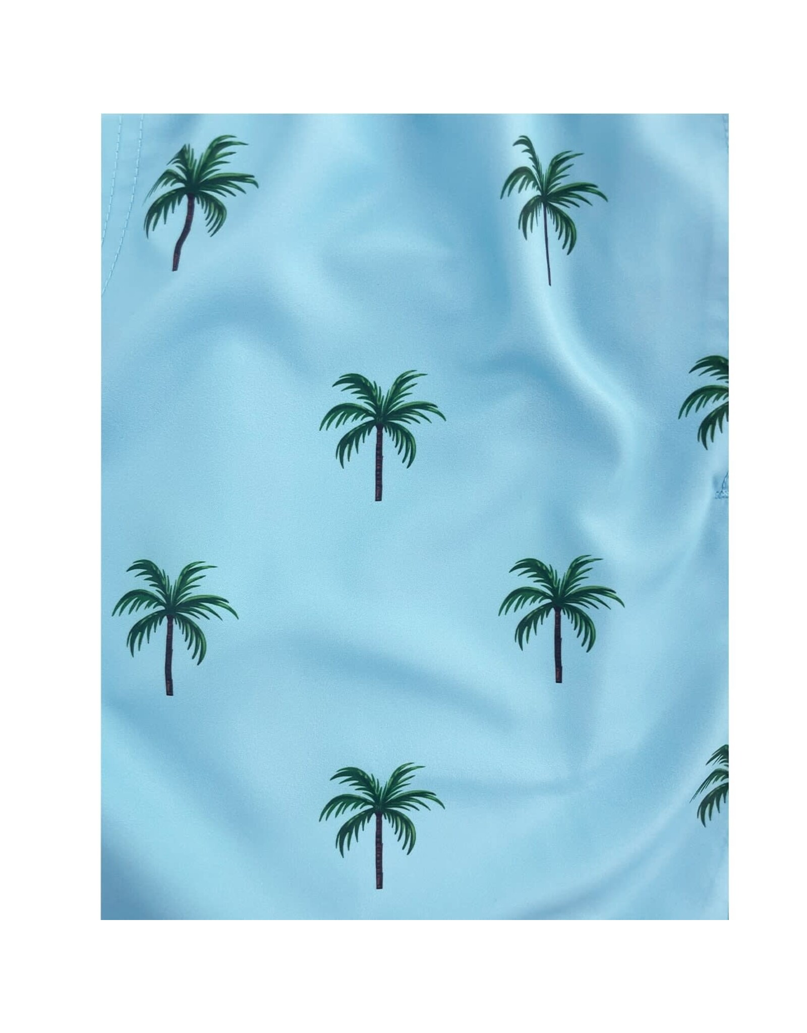 ISLAND HAZE ISLANDHAZE MARINO SWIM SHORTS
