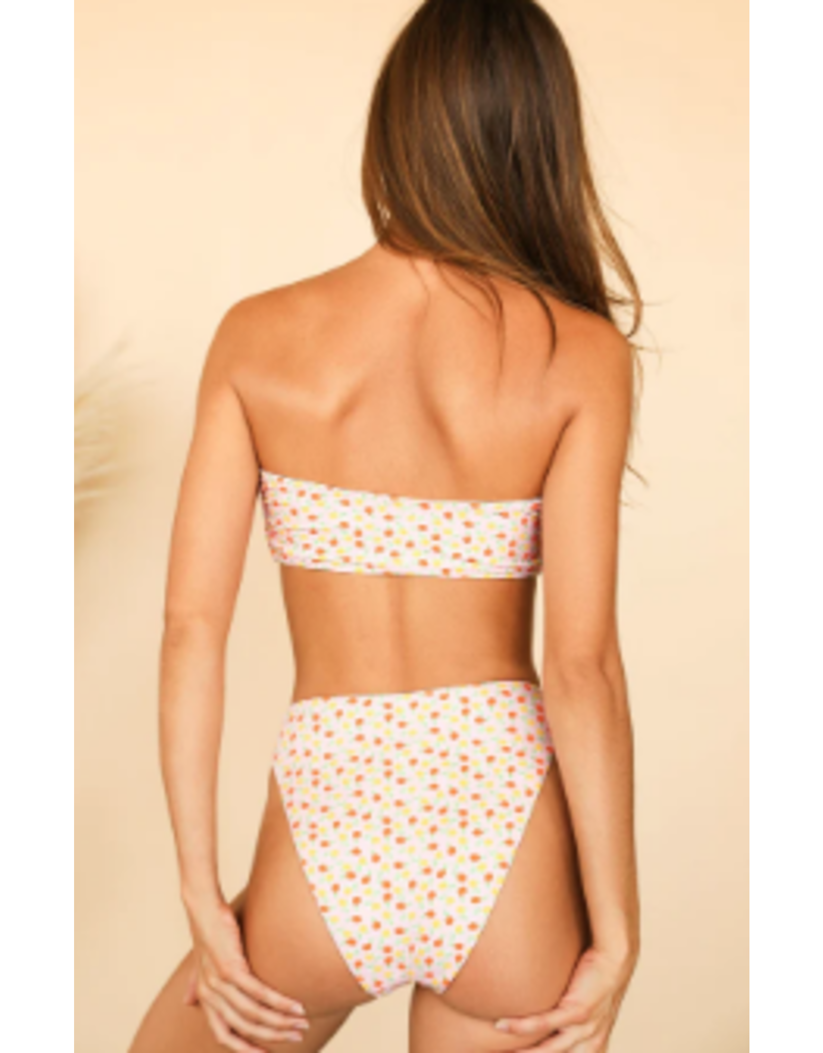 DIPPIN DAISYS DIPPIN DAISYS Seashore Bottom