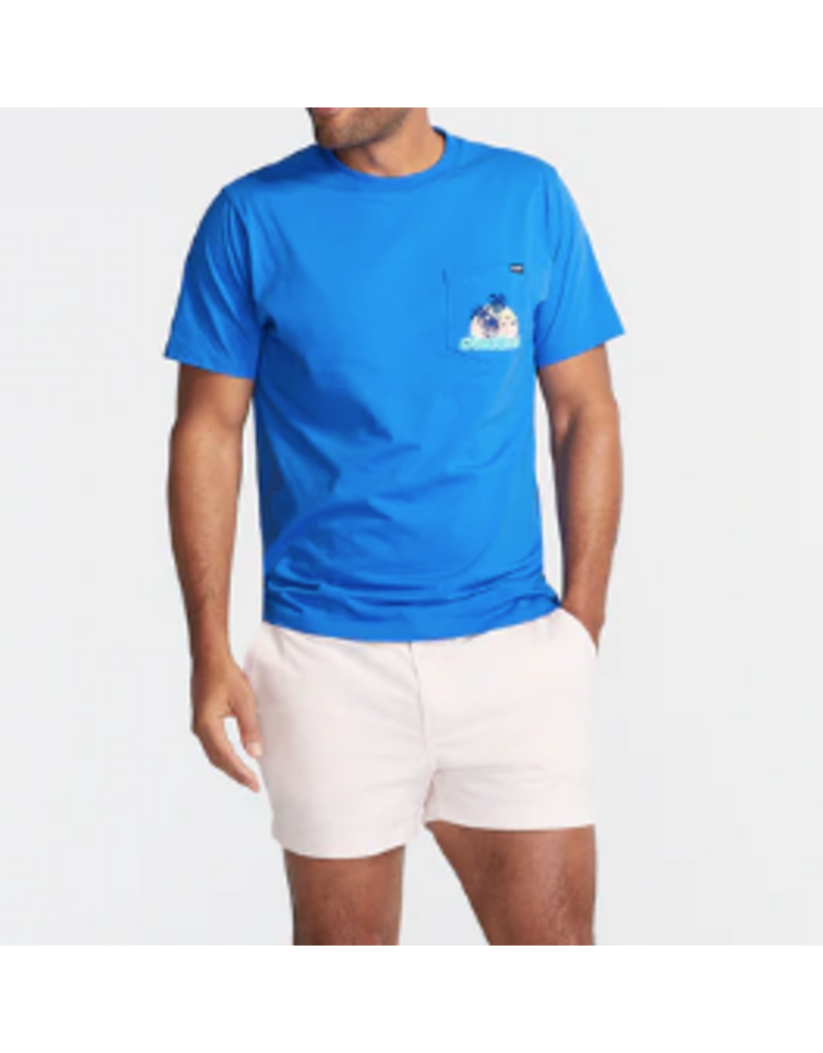 Chubbies T-Shirt (Giant Wave - Blue)