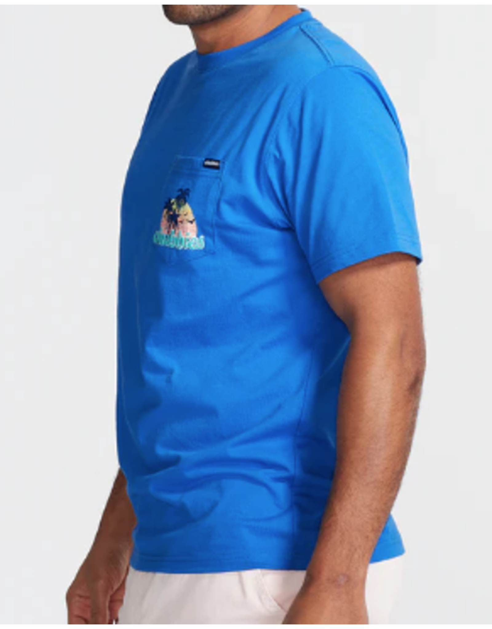 Chubbies T-Shirt (Giant Wave - Blue)