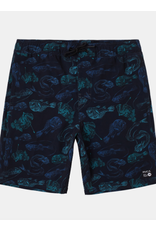 RVCA Horton Elastic Waist Boardshorts