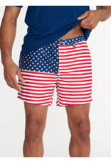 Chubbies ORIGINALS STRETCH SHORT THE MERICAS CHUBBIES