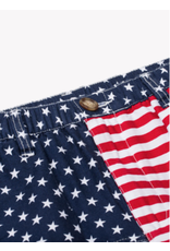 Chubbies ORIGINALS STRETCH SHORT THE MERICAS CHUBBIES