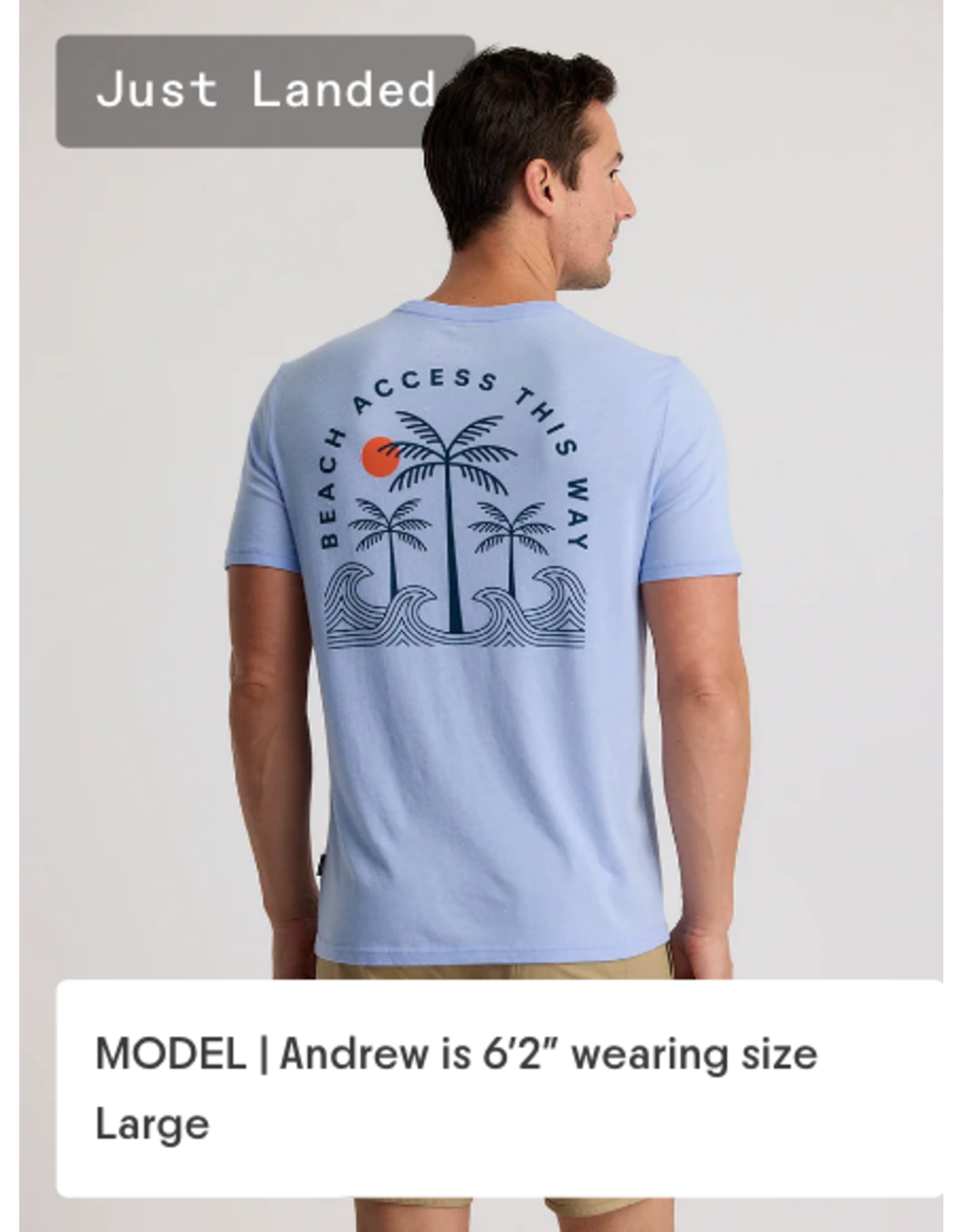 FREEFLY Beach Access Tee HEATHER LAVENDER