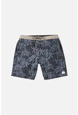 KATIN MATCHA HYBRID TRUNK