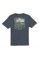 VISSLA WINDOW ORGANIC TEE