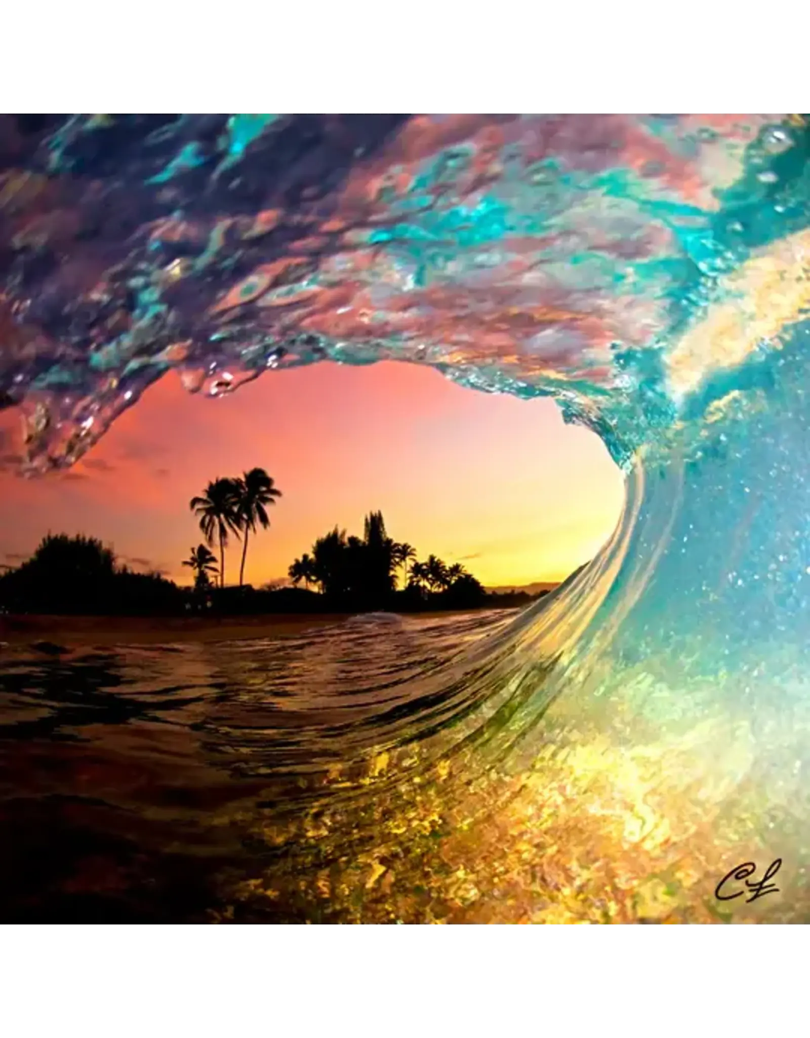 SECTOR 9 FRACTAL SHAVE ICE