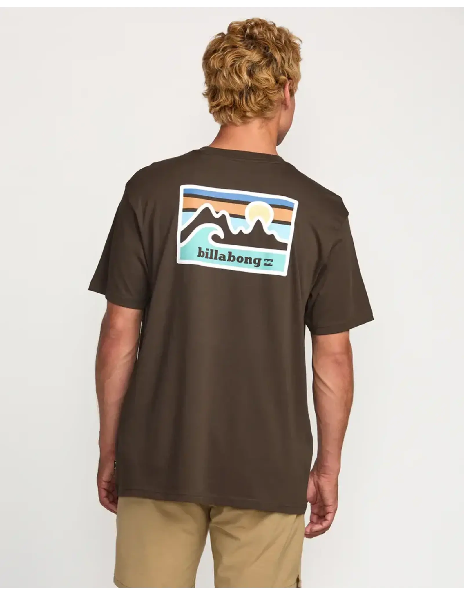 Billabong Guys Range A/Div Tee