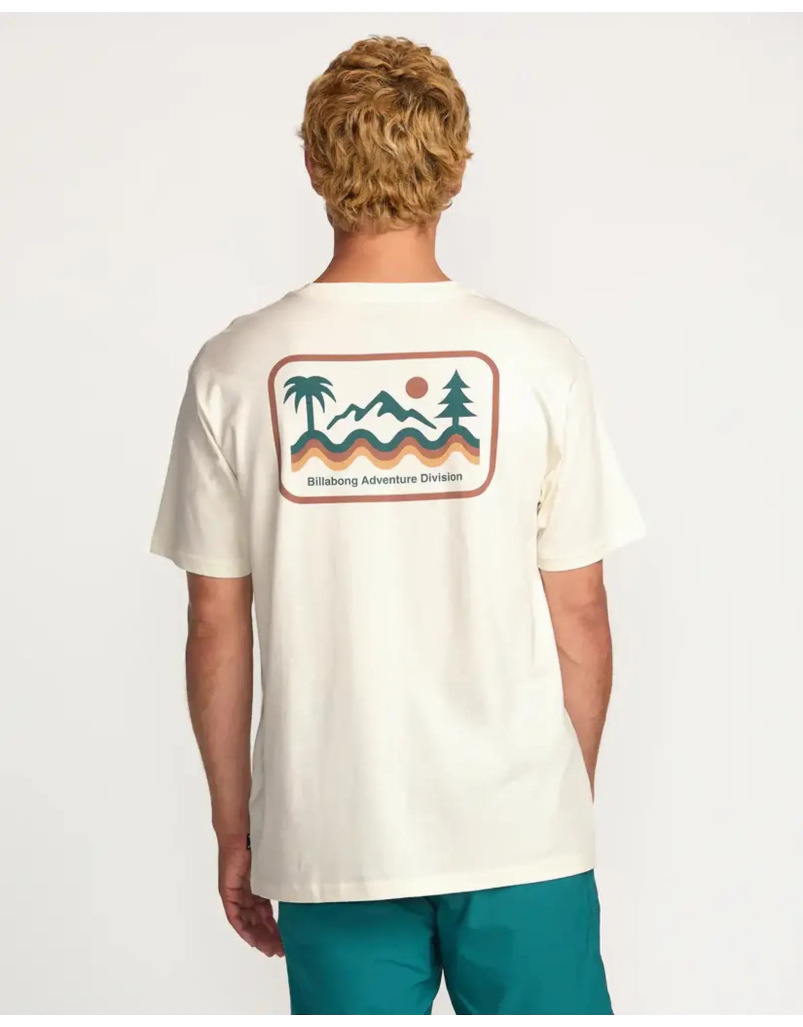Billabong Guys Range A/Div Tee