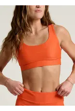 FREEFLY Women's Wavebound Scoop Bikini Top