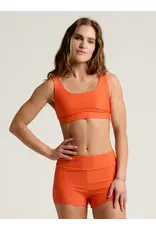 FREEFLY Women's Wavebound Scoop Bikini Top