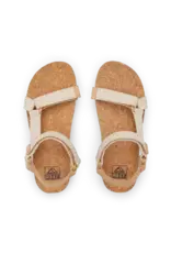 REEF CUSHION REM HI