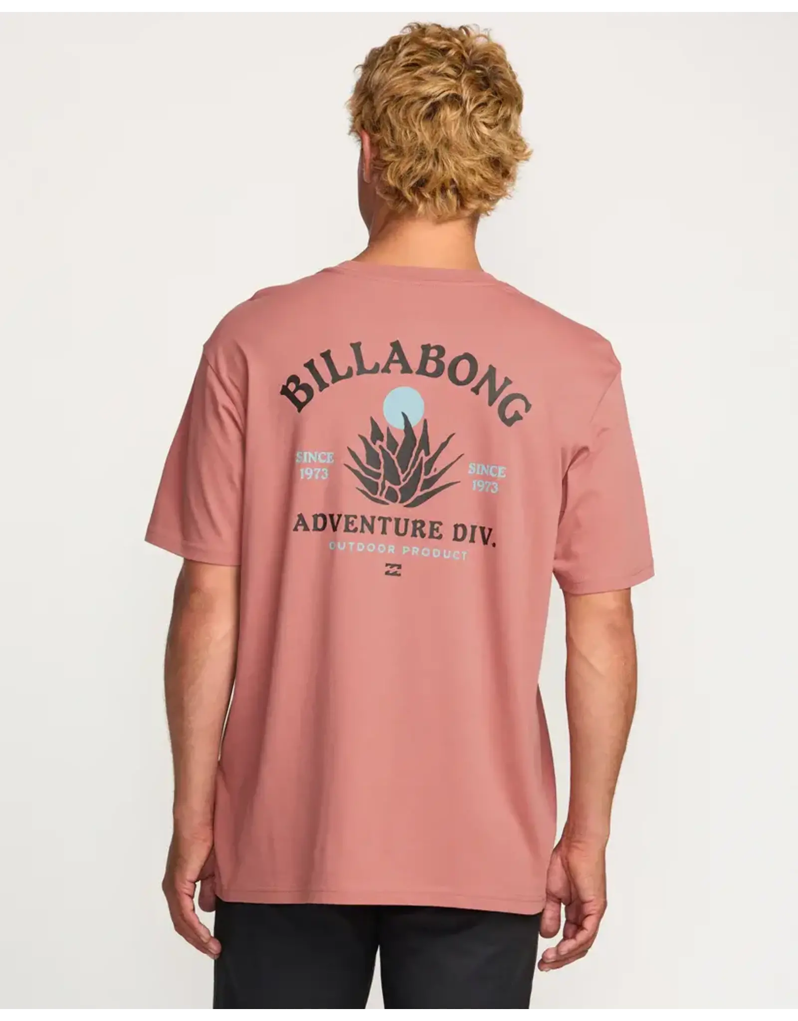 Billabong Guys A/Div Agave Tee