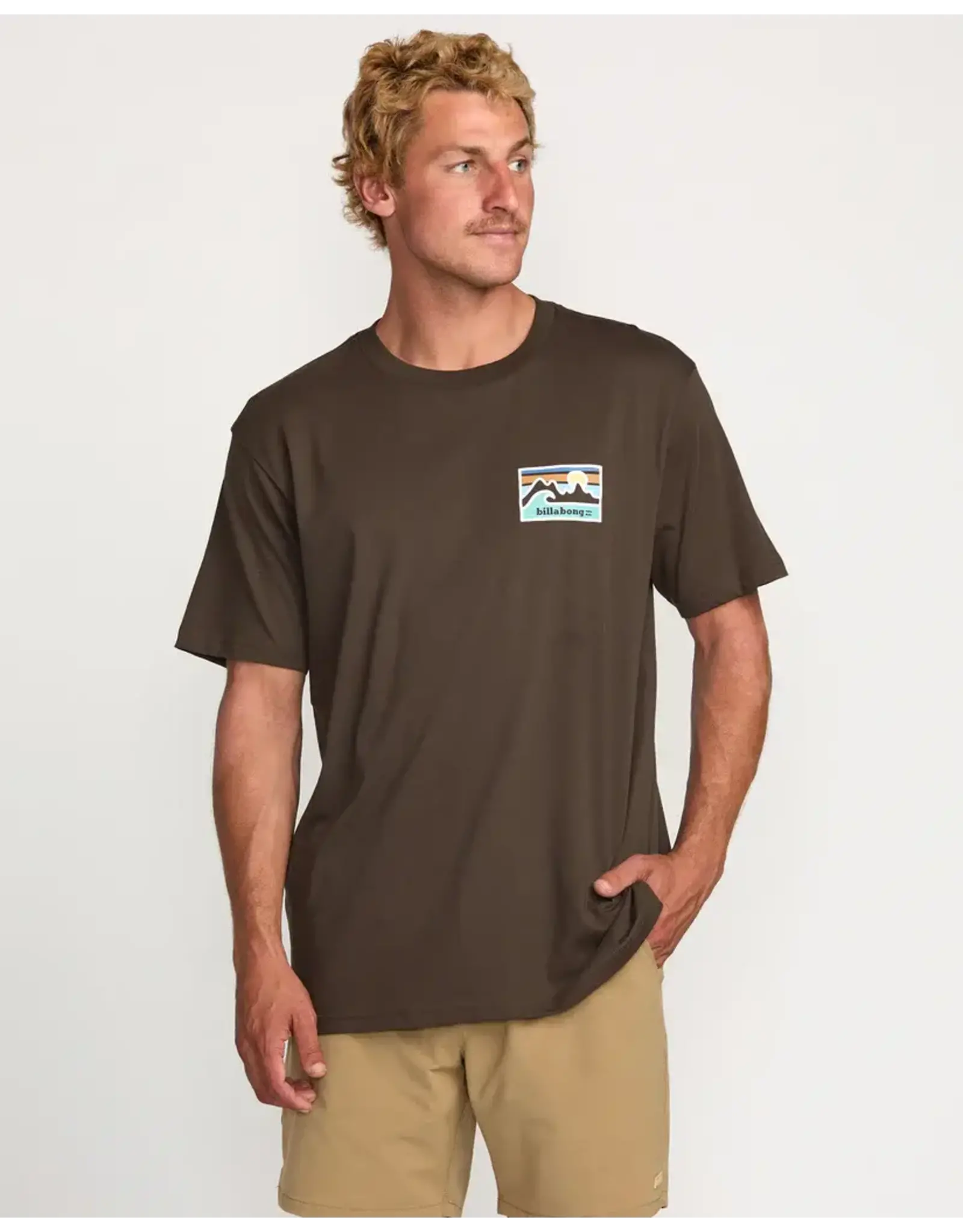 Billabong Guys Range A/Div Tee