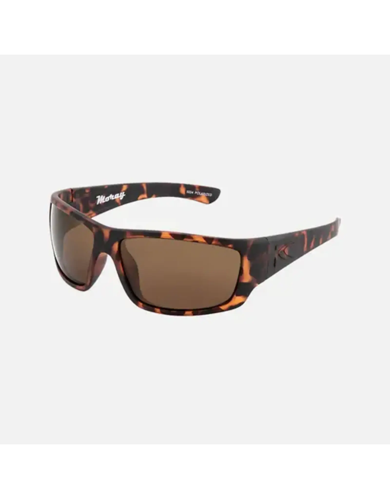 CARVE SUNGLASSES Moray Floating Eyewear | Injected Lens | Polarized Lens