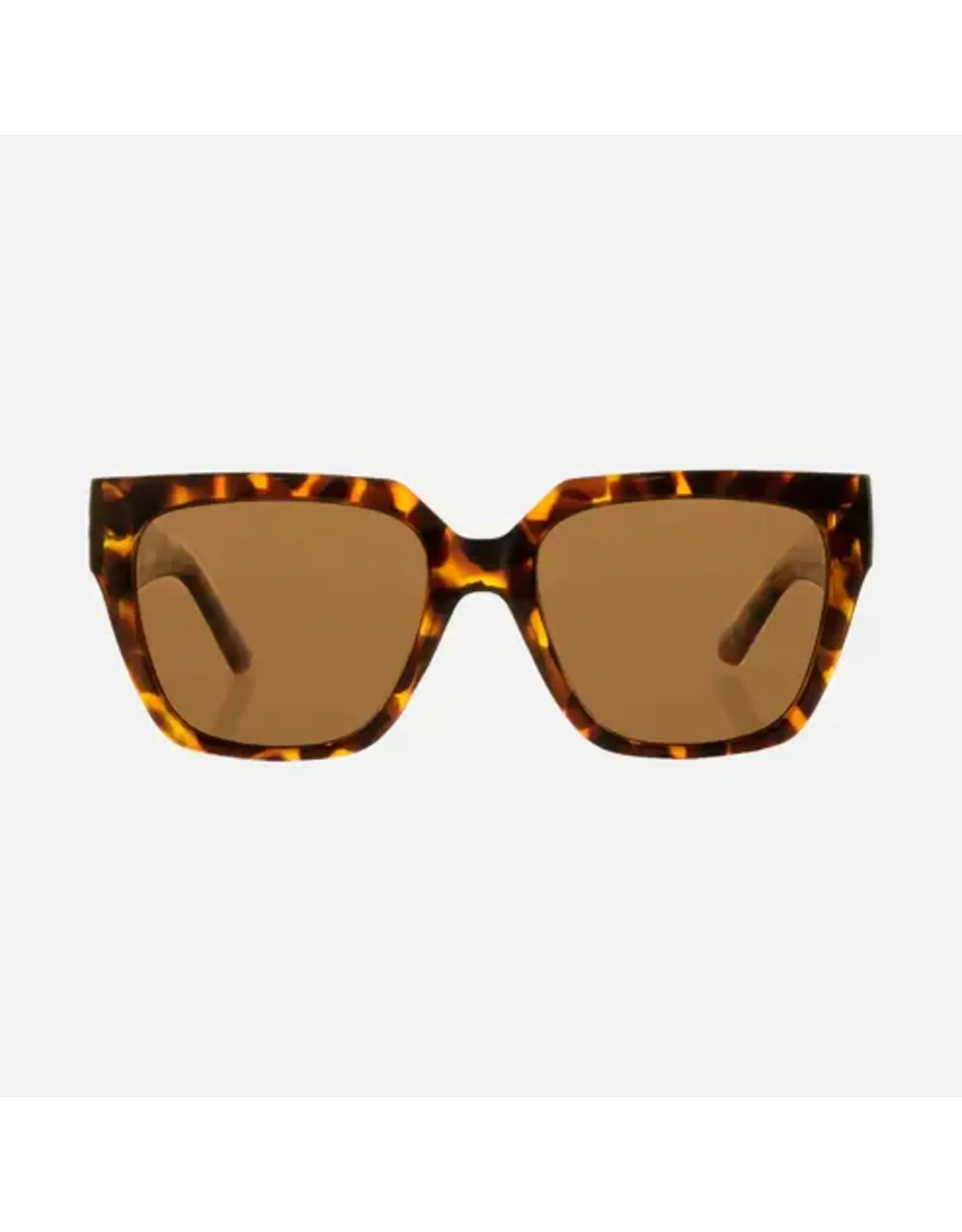CARVE SUNGLASSES Brooklyn Injected Lens | Polarized Lens  Gloss Tort Brown