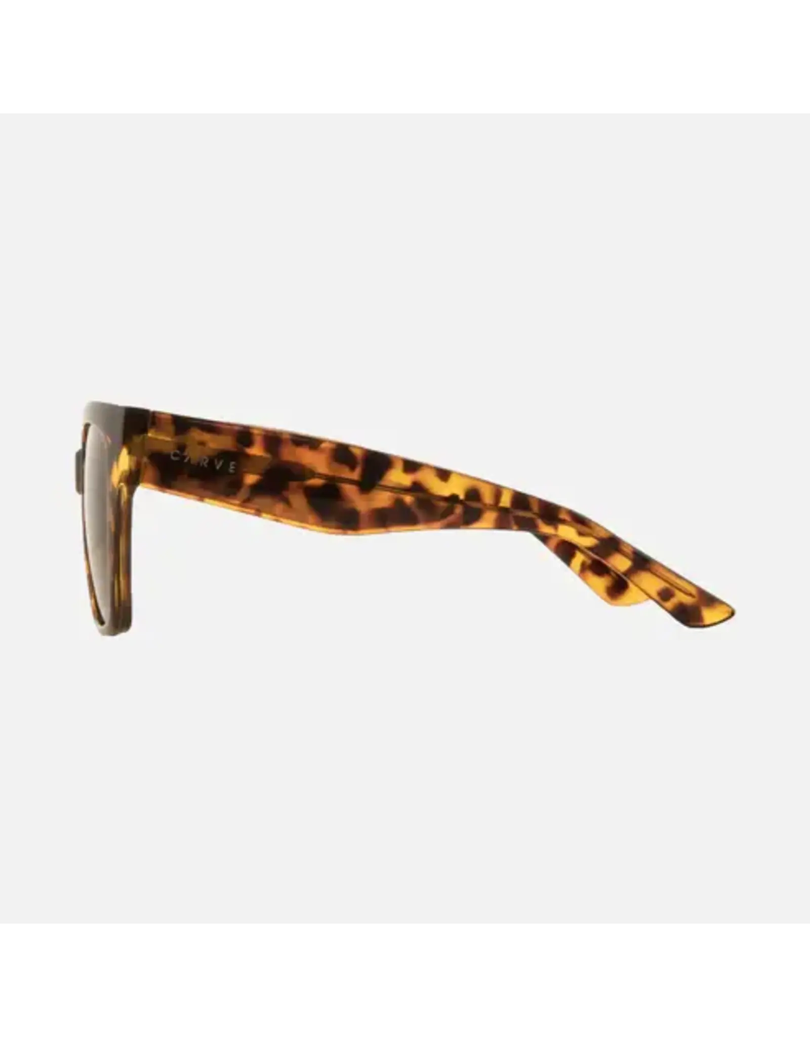 CARVE SUNGLASSES Brooklyn Injected Lens | Polarized Lens  Gloss Tort Brown